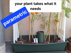 Self-Watering Plant Wick Reservoir