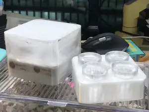 Mini 育苗仓 Seed Starting & Alocasia Corm Nursery