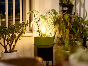 Plant Lamp