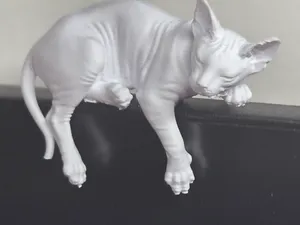 Gatto Sphynx dormiente colorabile