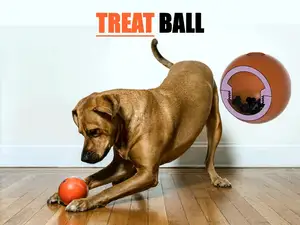 Treat Ball for Dogs and Cats
