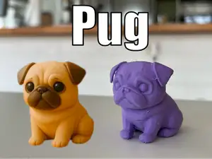 Cute Pug