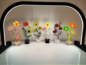 Blumen im Topf jetzt in Farbe