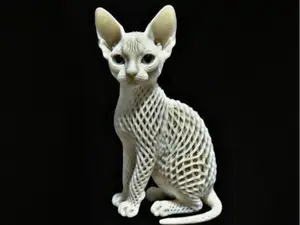 Chat 