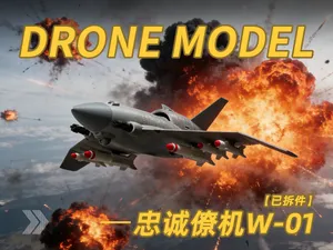 忠诚僚机01(代号W-01)