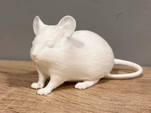Mouse - Animal - Decor
