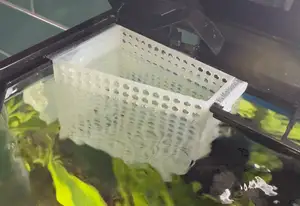 Ciano Aqua 30 Aquarium Fish Isolation Tank