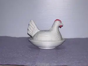 Hen on Nest
