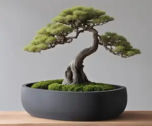 Round Bonsai Pot, Bonsai Planter