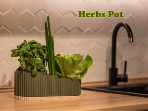 Herbs Pot