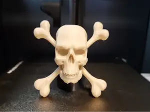 Skull and Crossbones (Jolly Roger)