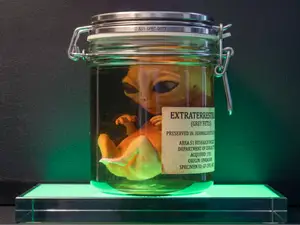 Alien embrio (Fetus) "Area 51 Specimen"
