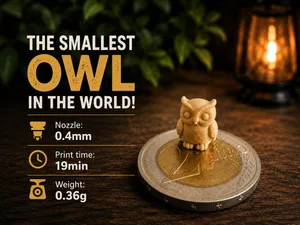 Tiny Owl – World's Smallest Test Print