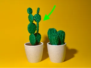 Cactus #1 - Plant - Flower - Cactus - Plant