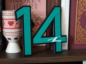 Fernando Alonso Number Display
