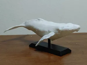 Humpback Whale Mount