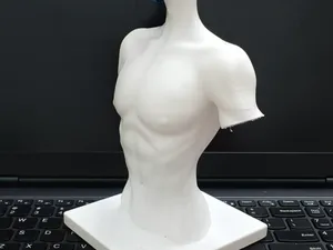bjd胸台