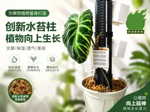 超模块化水台柱