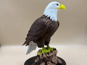 Majestic Bald Eagle on Stump
