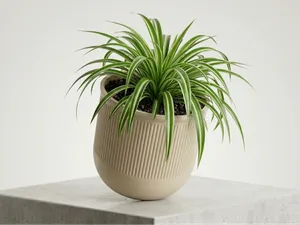 Fluted Planter "Florena" – Plant Pot