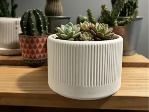 花盆，精美花盆