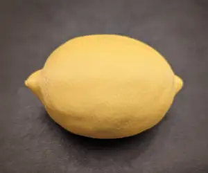 Lemon - Amazing Texture - Fun To Throw - Don't Eat