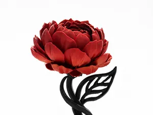 The Timeless Peony