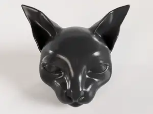 Sphynx/Devon-rex cat head