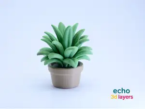 Potted Succulent – Decorative