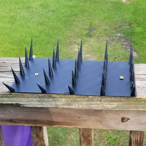 Bird / Squirrel Spikes for 2 x 6 rail