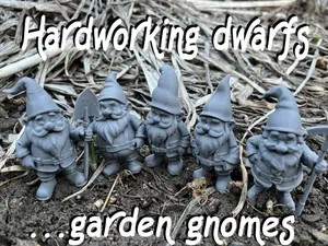 Hardworking dwarfs, gnomes for the garden
