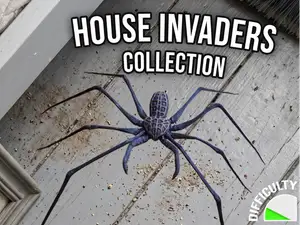 House Invaders - Whip Spider