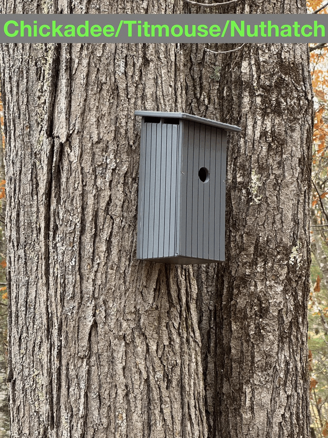 Species-Specific Camera Birdhouses