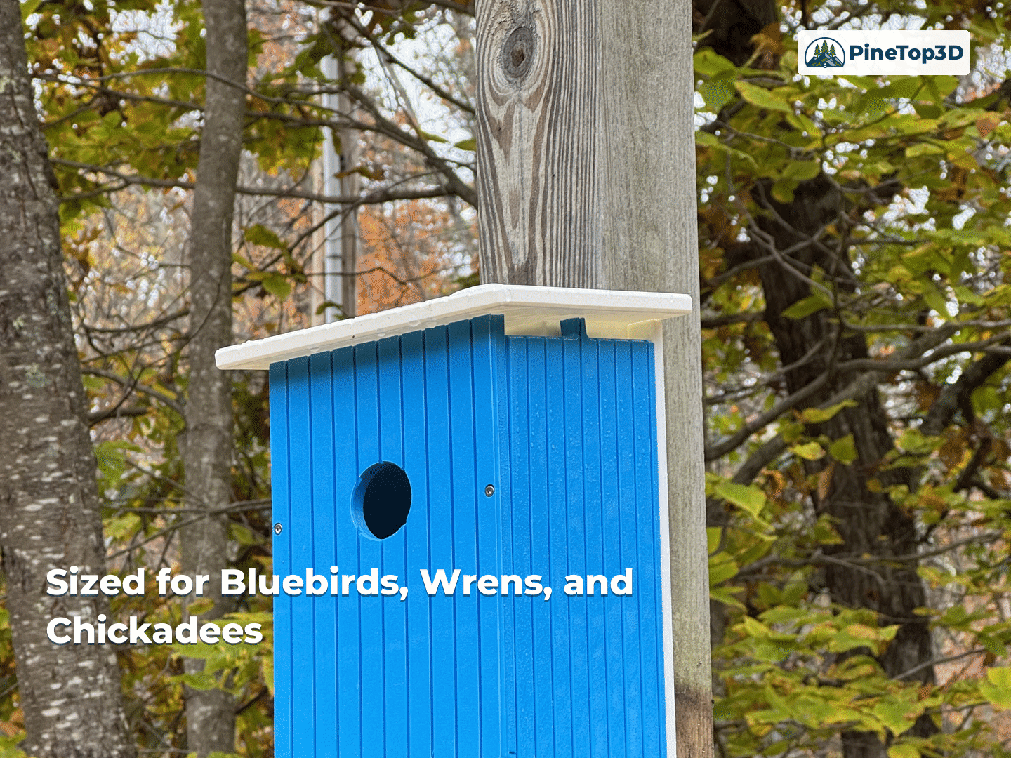 Species-Specific Camera Birdhouses