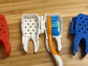 DENTONE Custodia da viaggio per spazzolino denti