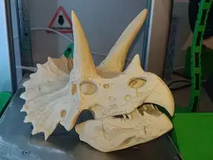 Dinosaur Head Triceratops