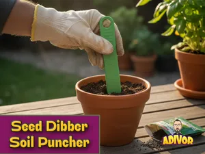 Seed Dibber & Soil Puncher for Gardening