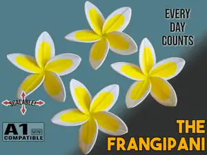 The Frangipani
