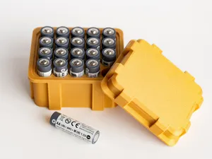 AA Battery Box