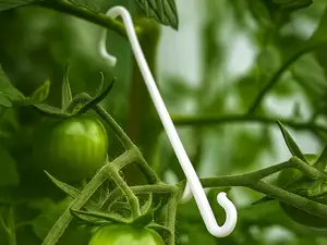 Tomatenhalter / tomato hook