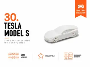 Tiny Tesla Model S - Mini Cars Series
