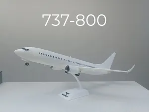 1/80 scale model 737-800