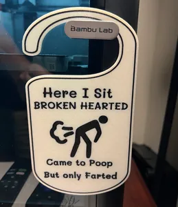 Here I sit broken hearted, came to poop