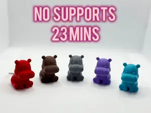 Cute mini Hippo