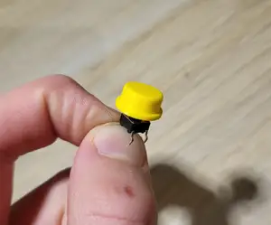 Button