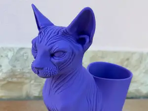 Gatto Sphynx portapenne