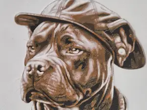 Chien avec un béret - Dog with a beret