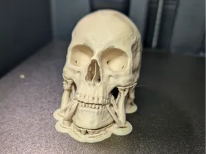 Totenschädel / Totenkopf - Anatomischer Schädel 
