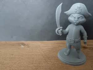 Cat - the Pirate