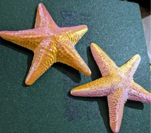 Stella & Finn the Starry Duo
